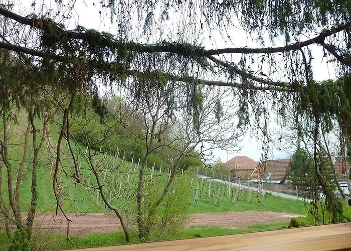 Cozy Cottage With Private Garden, Romantic Retreat * Vienna